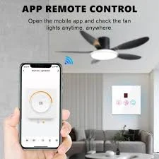 Smart One Fan Regulator & One Light Switch – ButterFly BD